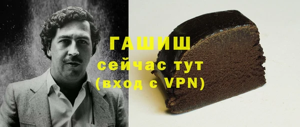 твердый Инта