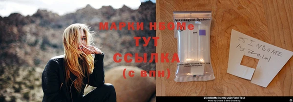 твердый Инта