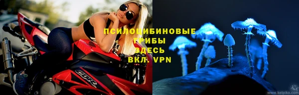 ALPHA PVP Зерноград