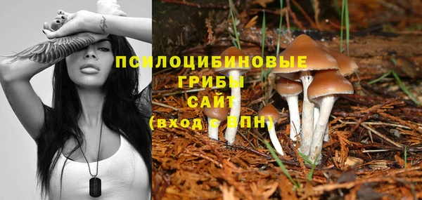 ECSTASY Зеленодольск