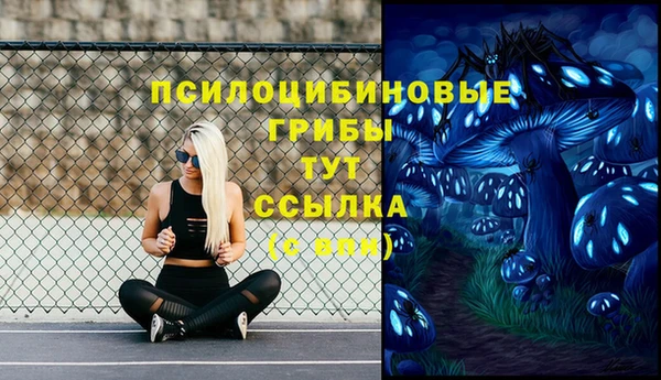 2c-b Иннополис